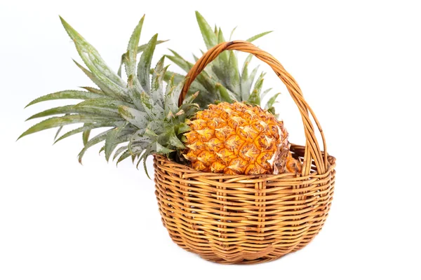 Phu lae ananász ültetett, Thaiföld. — Stock Fotó