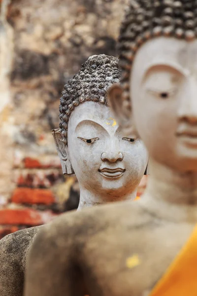 Buda ayutthaya, Tayland at heykelinin yüz. — Stok fotoğraf