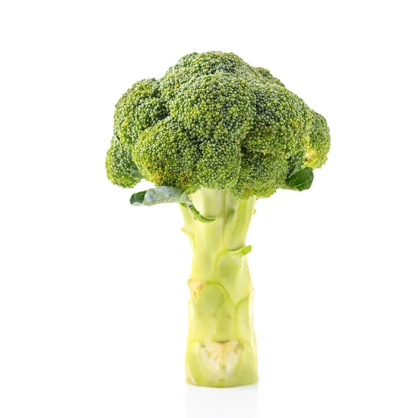 Broccoli vegetable on white background — Stock Photo, Image