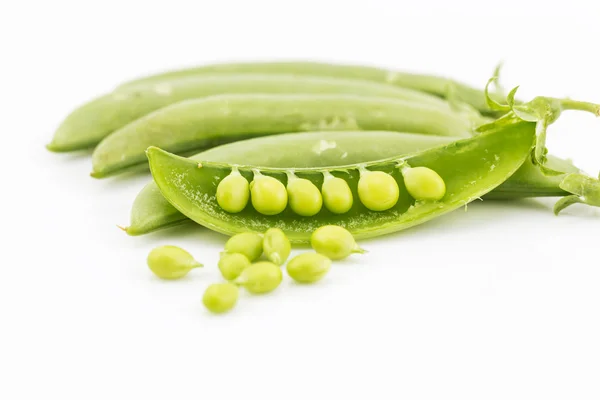 String bean on a white background — Stock Photo, Image