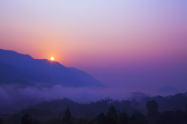 Kara Orman sisin üzerinde gündoğumu