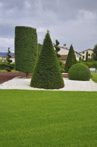 Süs Bitkileri için sanat formları