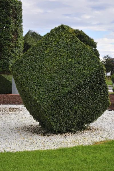 Süs Bitkileri için sanat formları