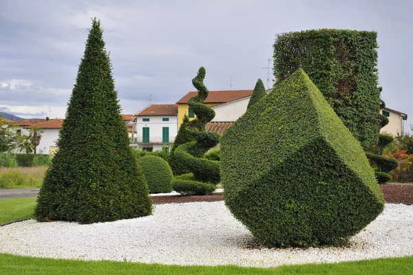 Formas artísticas para plantas ornamentales —  Fotos de Stock