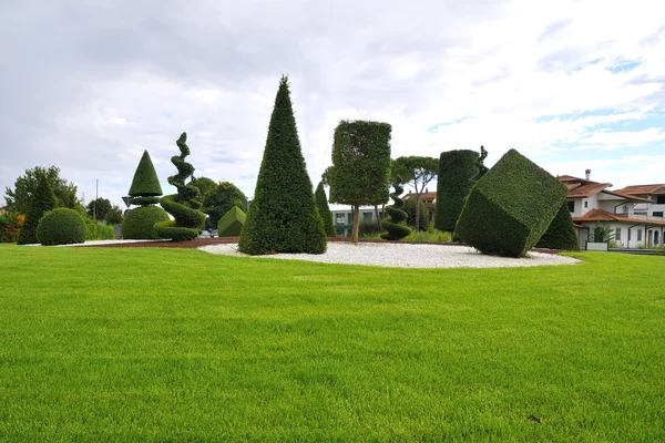 Süs Bitkileri için sanat formları