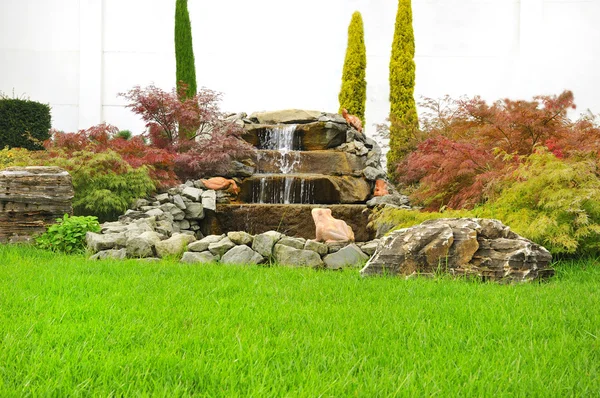 Çocuk odasında büyüdü genç bitki