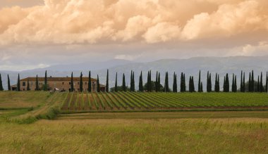 Tuscan peyzaj İtalya