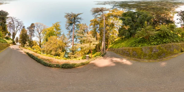 Jardín Botánico Georgia Batumi Árboles Cielo Azul Primavera Con Panorama —  Fotos de Stock