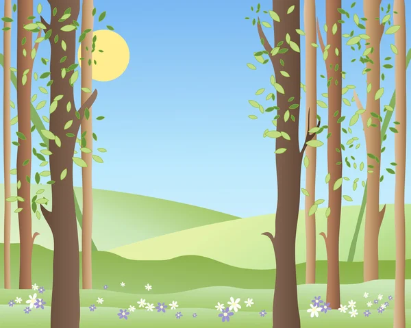 Forêt de printemps — Image vectorielle