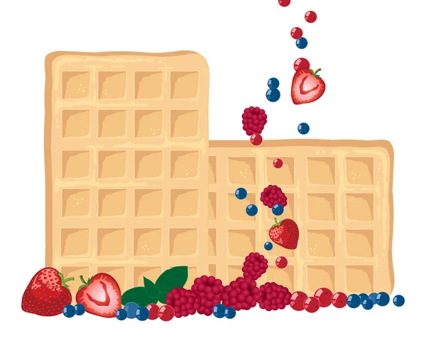 Waffle de frutas — Vetor de Stock