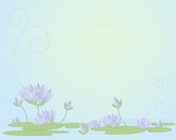 Water lily background — Stock Vector