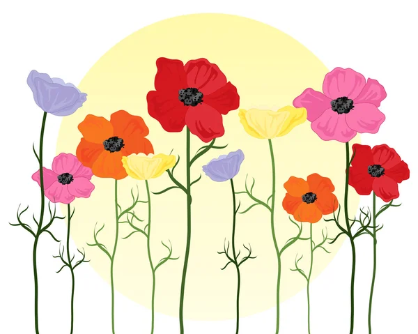 Poppy achtergrond — Stockvector