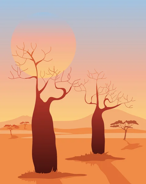 Baobab — Stockvector