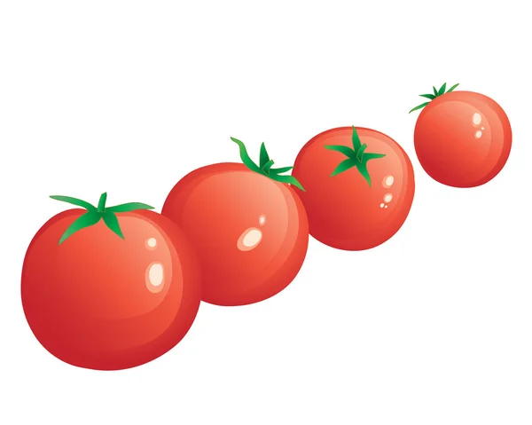樱桃西红柿 — 图库矢量图片