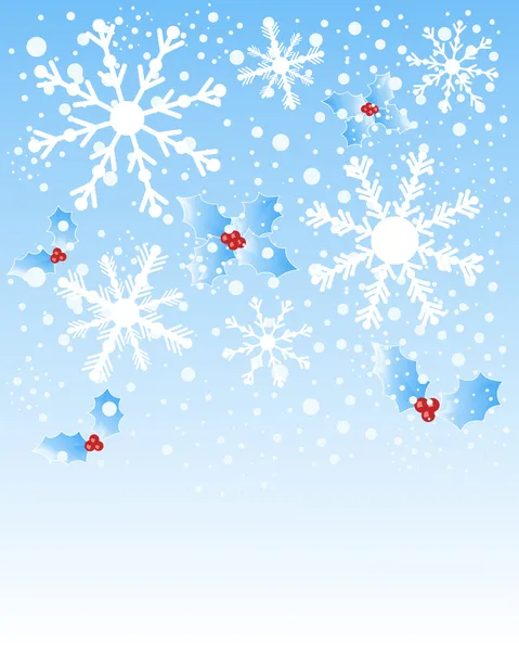 Snowflakes and holly — Stock Vector