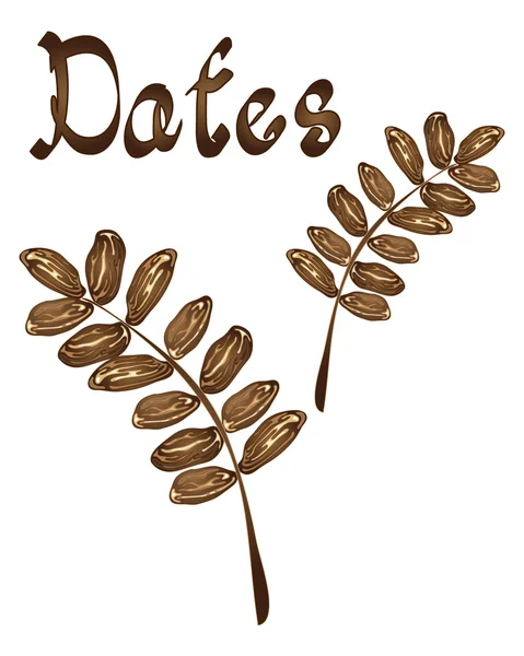 Dates — Stock Vector