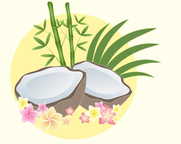 Kokosnusshälfte — Stockvektor