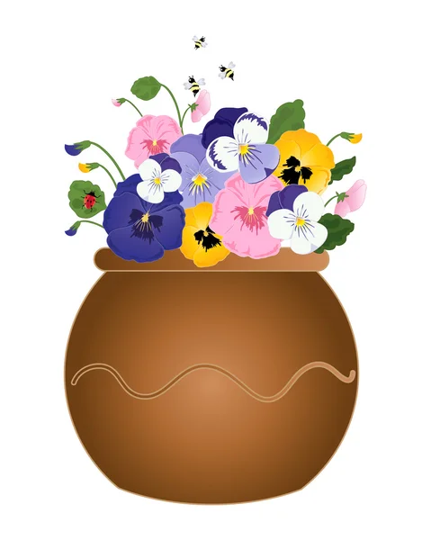 Pansy planter — Stock Vector