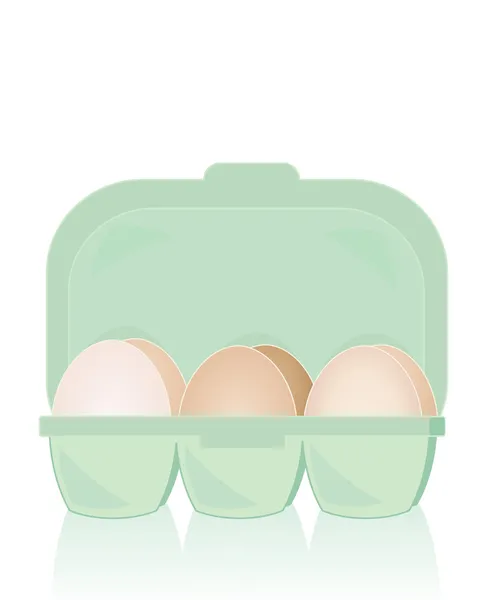 Box of eggs — Stock Vector