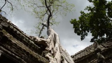 Timelaspe ta phrom
