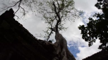 Timelaspe ta phrom