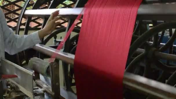 Silk processing — Stock Video