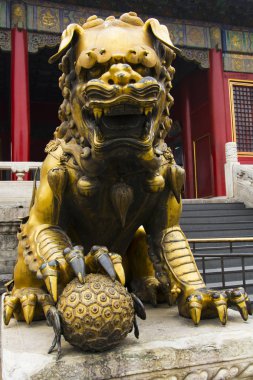 bir erkek bronz aslan