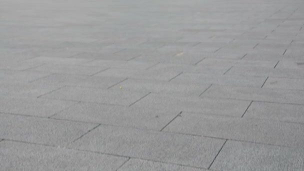 面前的紫禁城的天安门广场 — 图库视频影像