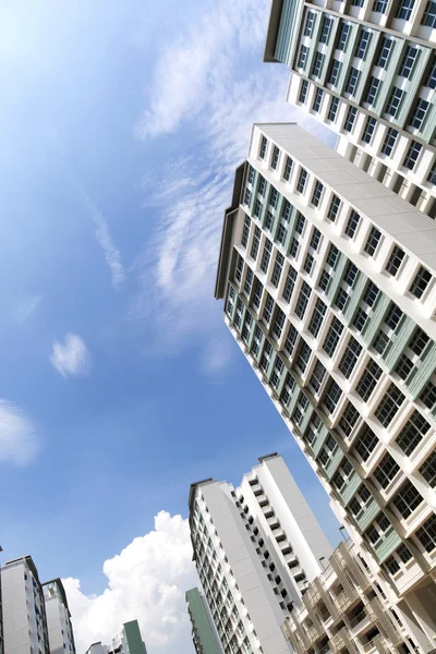 Singapur hükümeti daireler