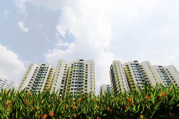 New Singapore Government apartments — Stock Photo, Image