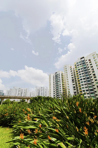 Nuevos apartamentos del Gobierno de Singapur Imágenes De Stock Sin Royalties Gratis