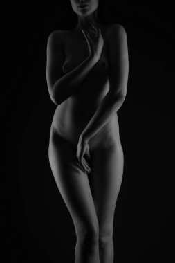 Siyah ve beyaz güzel kadın vücudu. Üzerinde gölgesi olan zarif çıplak bir kadının moda sanat stüdyosu portresi. Kadın midesi siyah arka planda izole edilmiş. Erotik poz düşük tuş atışı