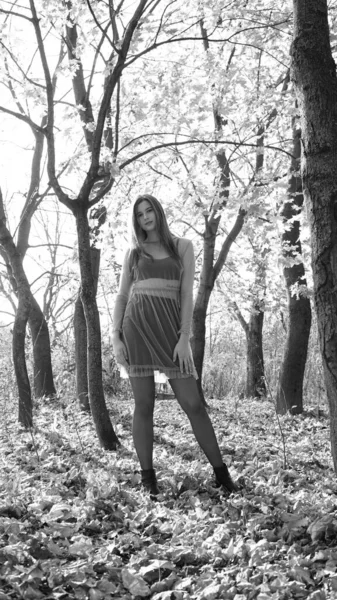 秋の日にカメラを向ける若い女性 白黒写真 — ストック写真