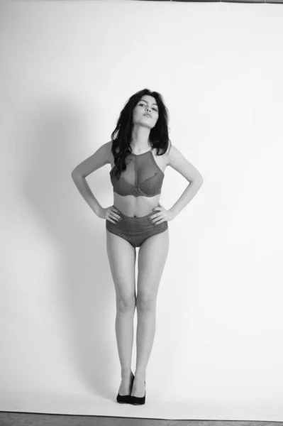 Beautiful Young Woman Underwear Posing Studio — Stock Photo, Image