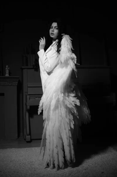 在演播室里 穿着内衣和夹克 长着翅膀的性感美女在镜头前摆姿势 还有黑白照片 — 图库照片