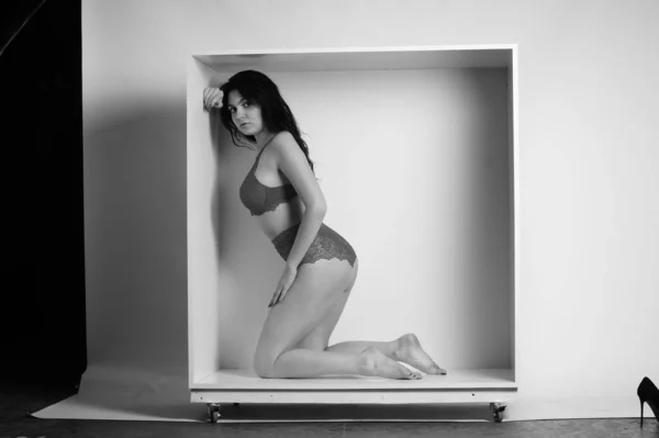 Schöne Junge Frau Schwarzen Dessous Posiert Auf Weißem Hintergrund — Stockfoto