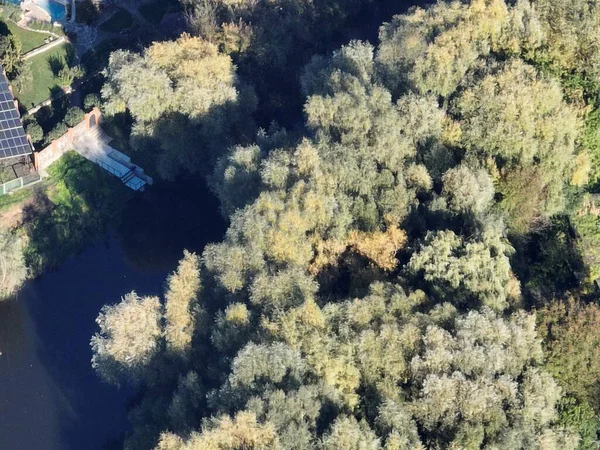 Aerial View Forest Treetops — Stock Photo, Image