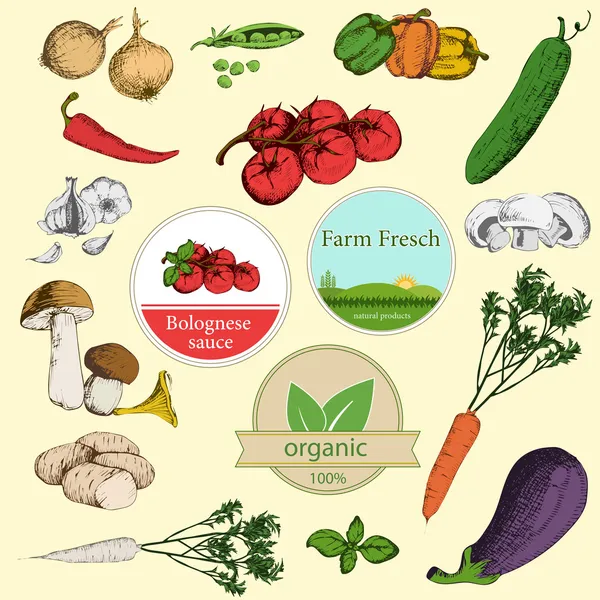 Collection of vegetables and labels — Stock Vector
