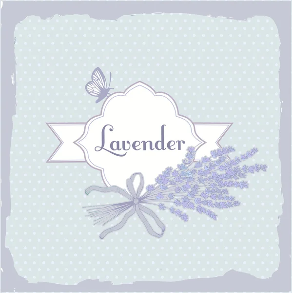 Lavender, herb, flower, floral vintage, packaging background — Stok Vektör