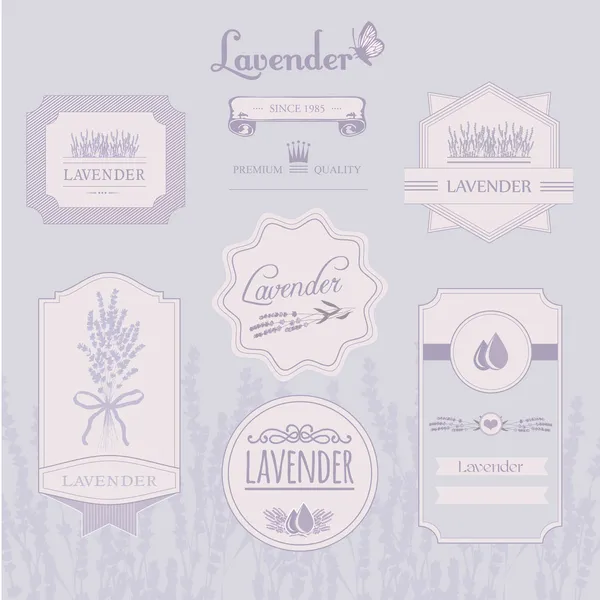 Lavendel achtergrond, product verpakking labelontwerp — Stockvector