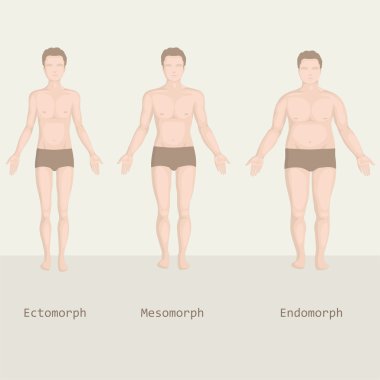 man body type, from fat to fitness, before and after clipart