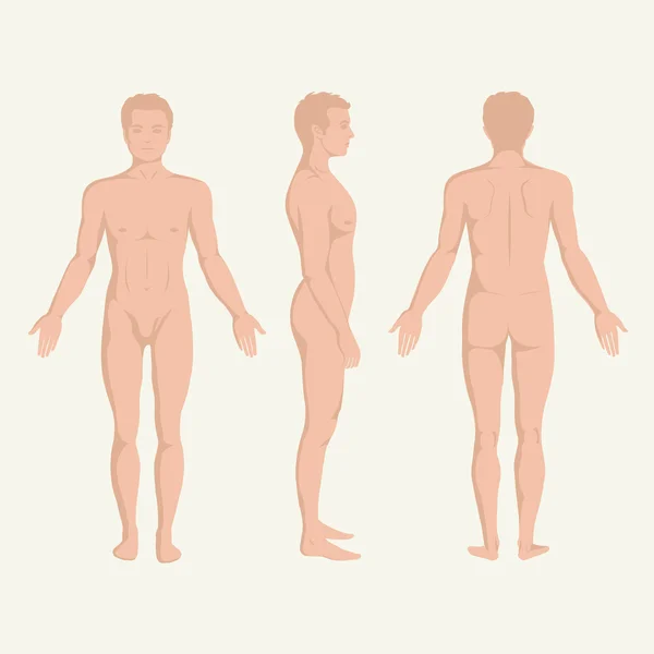 Hombre cuerpo anatomía, frente, espalda y lado de pie vactor pose humana — Vector de stock