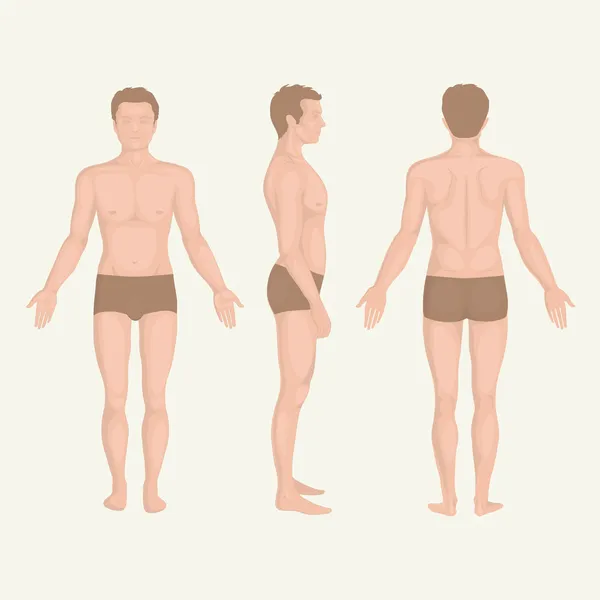 Man body anatomy, front, back and side standing vactor human pose Royalty Free Stock Vectors