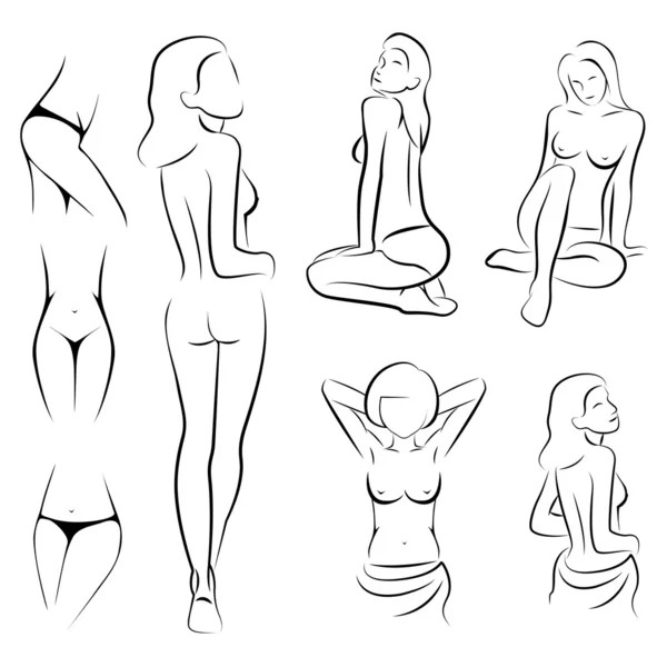 Female sexy, intime, beauty body outline parts, — Stock Vector