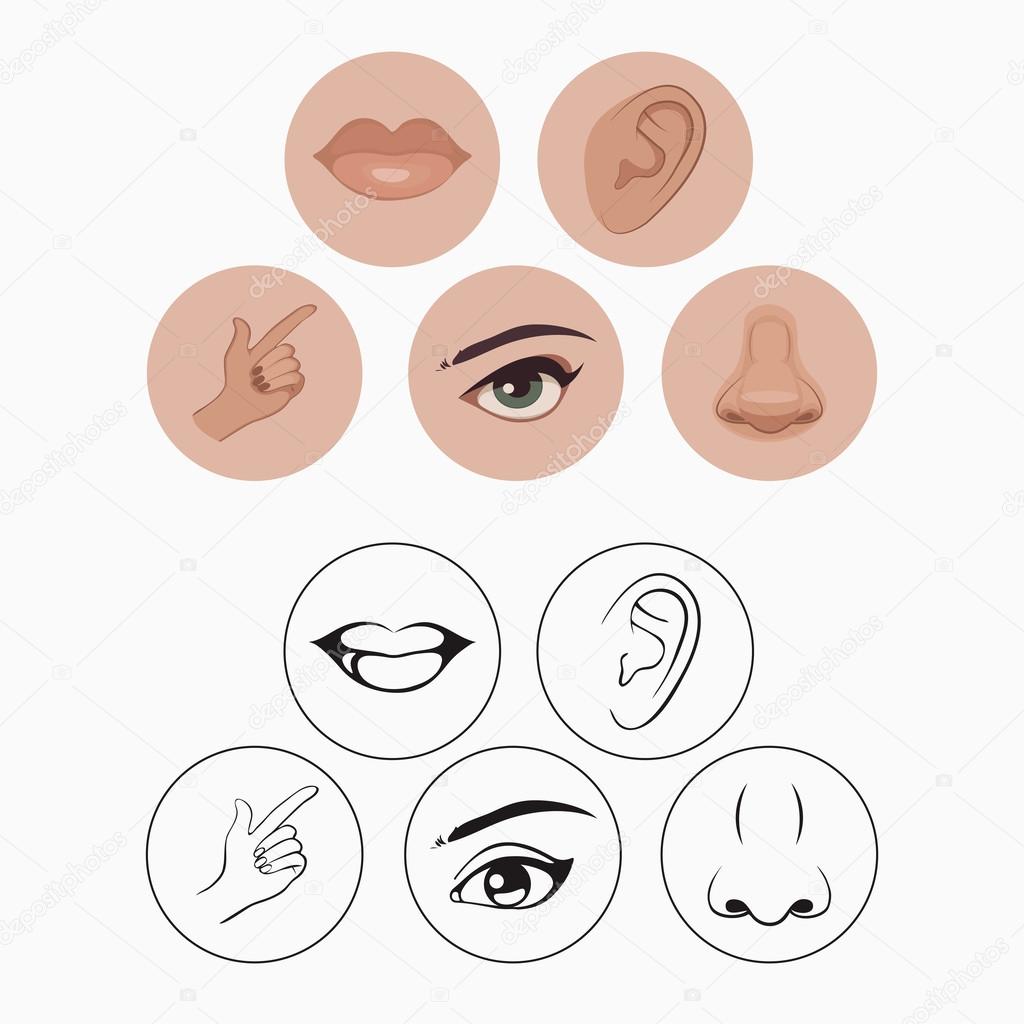 five senses, nose lips eye ear and hand