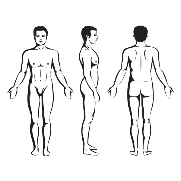 남자 몸 — 스톡 벡터