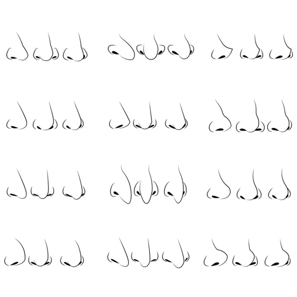 burun koleksiyonu, karakter