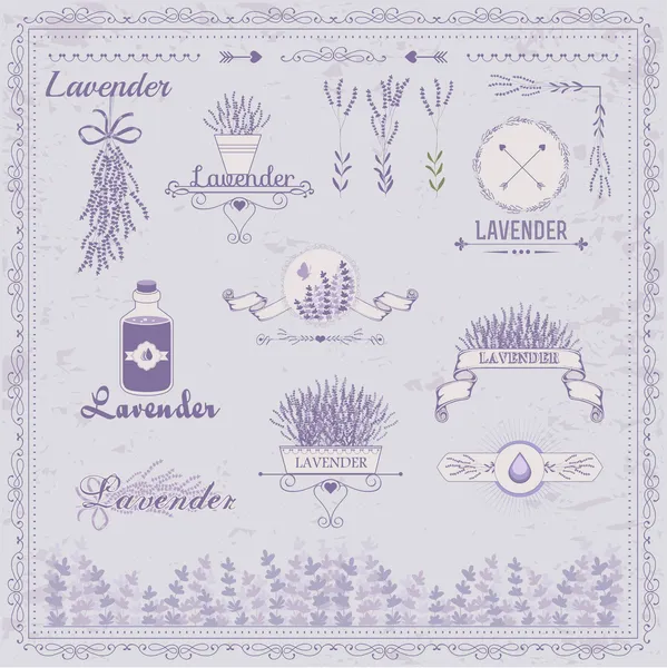 Lavendel — Stockvector