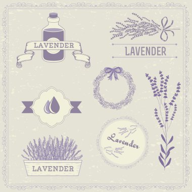 Lavanta bitki çiçek, çiçek antika arka plan