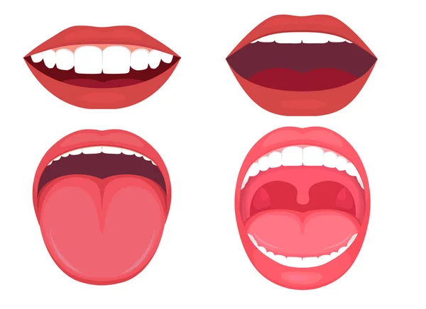 Ilustração vetorial de uma anatomia boca aberta humana. diagrama médico — Vetor de Stock